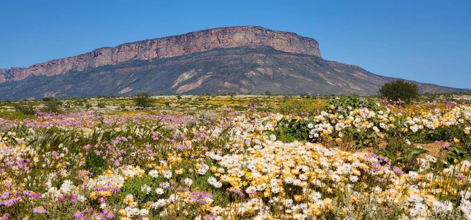 Отель Aant Dorpseind Vanrhynsdorp Экстерьер фото